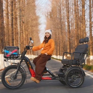 รถ<span class=keywords><strong>สามล้อ</strong></span><span class=keywords><strong>ไฟฟ้า</strong></span>สำหรับผู้พิการ รุ่น Polar Bear Heavy Duty 7 สปีด พร้อมยางสามเส้น ลดราคาพิเศษ - Product Image 1