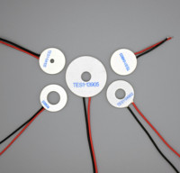 Mini élément thermoélectrique déshumidificateur Peltier Module prix Tes1-007012