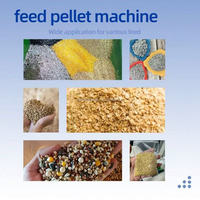 Machine à granulés semi-automatique de qualité supérieure pour l'alimentation animale, machine à granulés pour aliments pour volailles, fabrication de granulés en Chine