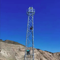 Tour de sécurité galvanisée à chaud de qualité industrielle pour la surveillance des champs pétroliers et gaziers et la mise en place dans les zones dangereuses