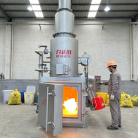 Incinérateur de déchets sans fumée 50kg100kg 200kg 300kg/h a obtenu la certification CE et la certification ISO. Fabriqué en Chine