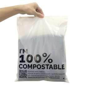 Custom Transparent Plastic Bag Clothing Packaging Bag Biodegradable Frosted Zip Lock Bag