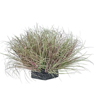 Plante artificielle en herbe synthétique Mengjie Handicrafts, 30cm-100cm, base en plastique, plante en pot décorative, paysage miniature - Product Image 5