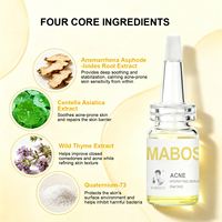 Solution anti-acné OEM, produits professionnels de salon, marque privée, sérum visage anti-acné rafraîchissant, resserre les pores et contrôle le sébum