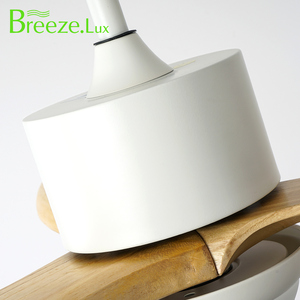 พัดลมเพดานพร้อมรีโมทคอนโทรล พัดลมเพดานไฟ LED หรี่แสงได้ พร้อมไฟ LED รีโมทคอนโทรล - Product Image 5