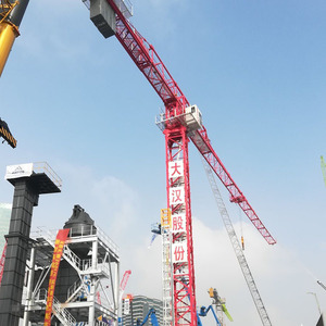 Grúa Torre de Plataforma Plana Dahan, Gran Venta, Shandong, Capacidad de Carga Nominal de 6 Toneladas, Altura Máxima de Elevación de 200 m, Alta Eficiencia Operativa - Product Image 3