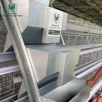 Cages à poules pondeuses de type A en gros, 3 ou 4 niveaux, système automatique, équipement pour fermes avicoles, cage à poules en batterie
