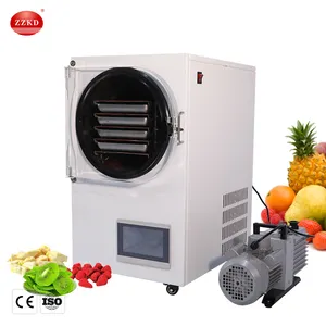 Mini Small Large Food Vegetable Fruit Home Homemade Household Lab Vacuum Lyophilization Freeze Drying Dryer Machine Equipment