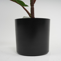 Nouvelle Arrivée 2023 : Arbre Ficus Artificiel Réaliste H85cm en PE, Résistant aux UV, Écologique, pour Intérieur/Extérieur, Idéal pour les Cérémonies de Remise des Diplômes et le Nouvel An