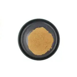 植物性粉末ハーブサプリメント天然ドンクアイエキス<span class=keywords><strong>Angelica</strong></span> Sinensis - Product Image 2