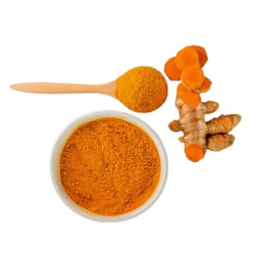 ISO HACCP sertifikalı sıcak satış fabrika fiyatı 4:1 zerdeçal kök ekstresi kurkumin tozu - Product Image 2