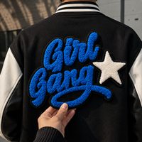 Patch brodé thermocollant personnalisé de haute qualité OEM pour sweat à capuche, style universitaire vintage, pour projets DIY