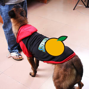 गोल्डन भूसी लैडर के लिए 9xl बड़ा कुत्ता हुडी के लिए 9xl बड़ा कुत्ता हूडी फैक्टरी थोक - Product Image 4