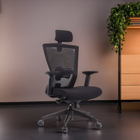Chaise ergonomique à dossier haut avec design moderne, dossier en tissu maillé, soutien lombaire, hauteur réglable pour le travail et les études