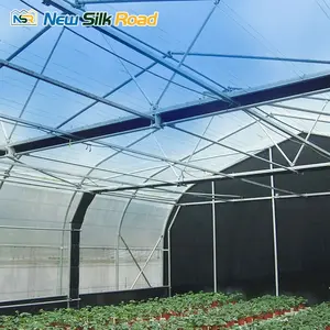 Small Single Span Greenhouse with Blackout Cover Hydroponic Features Galvanized Steel Frame Plastic Film Agriculture Plant Use