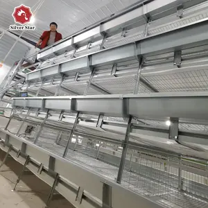 Silver Star Professional Manufacture Design Layer Chicken Cages/Chicken Laying Cages For Poultry Farm