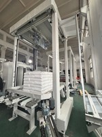 Machine d'emballage automatique à film étirable à froid pour palettes, idéale pour la logistique et l'emballage de sacs d'engrais – Fabricant
