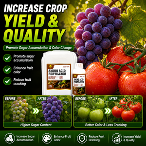 Fertilizante de Aminoácidos 70%, Fertilizante Químico, Fertilizante Orgánico de Aminoácidos, Agroquímicos para Cultivos - Product Image 3