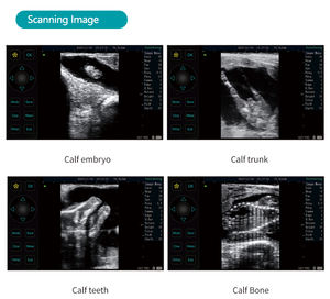 Dispositivo de Diagnóstico Veterinario Portátil por Ultrasonido con Pantalla de 8 Pulgadas, Batería de 10000mAh, Función Automática de Medición de Grasa Dorsal, para el Cuidado de Animales 16 - Product Image 6