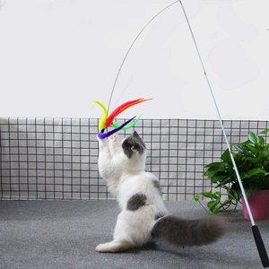 Разноцветная палочка-дразнилка для кошек с сменным плюшевым червяком, интерактивная игрушка для дрессировки и игр с питомцами - Product Image 3