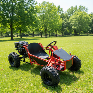 <span class=keywords><strong>Go</strong></span>-Kart ad Alta Velocità a 4 Tempi 212cc 70km/h per Corse All'aperto e Fuoristrada - Product Image 1