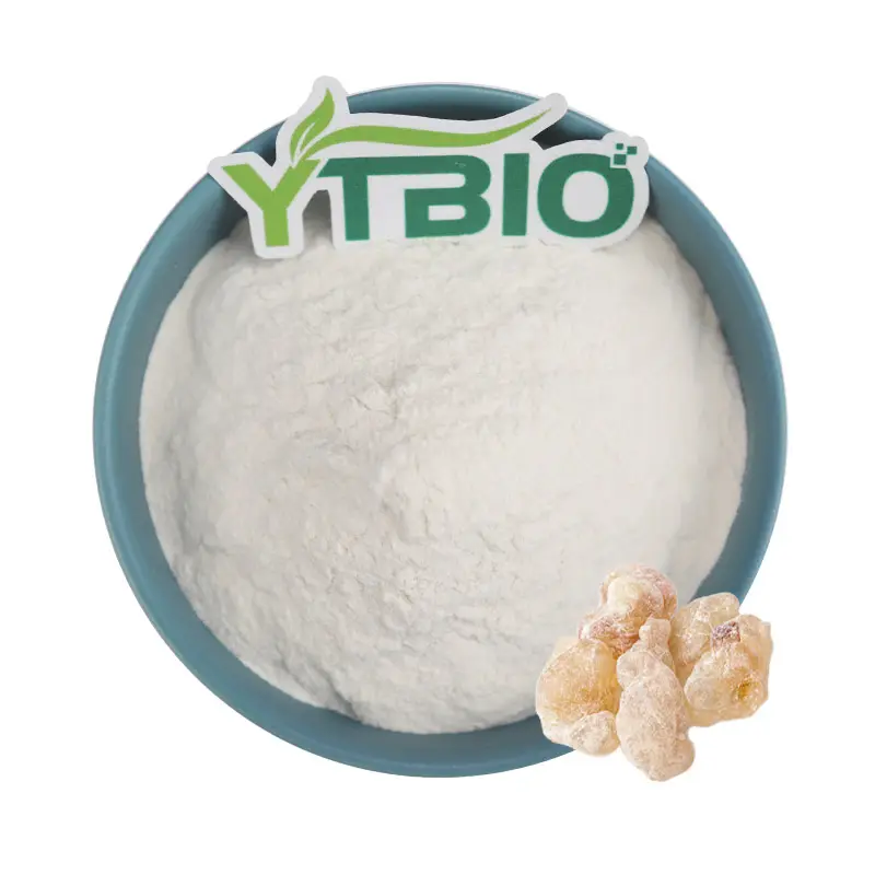 YTBIO סיטונאי מסטיק מסטיק תמצית אבקת/Boswellia Serrata תמצית 65% 95% Boswellic חומצה