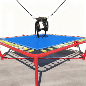 Douerfei DEF-001 Kommerzielles Polyester-Bungee-Trampolin 2x2x4m Durchmesser Umweltfreundlich Langlebig Hohe Sicherheit Outdoor-Unterhaltung - Product Image 3