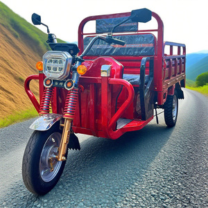 Triciclo Elettrico da Carico 1000W con 2 Posti Passeggeri, Veicolo a Tre Ruote 48V, Disponibile con Carrozzeria Aperta, Triciclo con Cassone Ribaltabile da 1 Tonnellata - Product Image 6