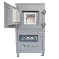 Four à moufle électrique Wolf pour gaz inertes (argon), chambre à vide atmosphérique, température maximale 1600°C, dimensions chambre 200x400x180mm, équipement de chauffage