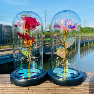 Rose en verre avec feuille d'or, éclairée par LED, fleur éternelle, cadeau pour la fête des amoureux, la fête des enseignants, la fête de la fin d'année, ornement de remise de diplôme - Product Image 4