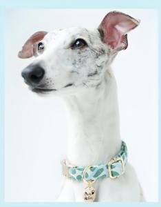 Personnalisé XS Petite Race Luxe Collier de Chien Moderne Coton Imprimé Doux Respirant Confortable Durable Éclairage Personnalisé Vente en Gros - Product Image 4