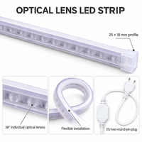 Bande lumineuse LED NEXCELL 6500K blanc froid, lentille 36 degrés, AC230V 13W/m, rouleau de 50m pour éclairage architectural