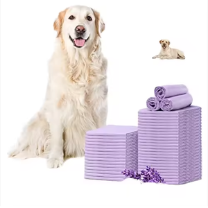 100PCS/<b>BAG</b> Disposable 6 Layer Absorbent Quick Drying Leak-proof Puppy Pads Dog <b>Pee</b> Training Pad - Product Image 1