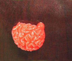 Bola otak plastik edukasional obat - Product Image 2