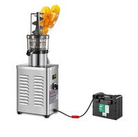 Hete verkoop commerciële fruitpers extractiemachine appel sinaasappel peer sapmachine diverse modellen 300w-500w-1200w-3000w