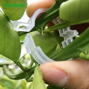 100 clips de soutien pour plantes, pour <span class=keywords><strong>fixer</strong></span> les tomates, les concombres, les légumes, les fleurs, les plantes grimpantes - Product Image 3