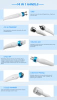 14-in-1 Multi-functional Skin Management Device Hydrogen-Oxygen Micro-Bubble Desktop Beauty Instrument