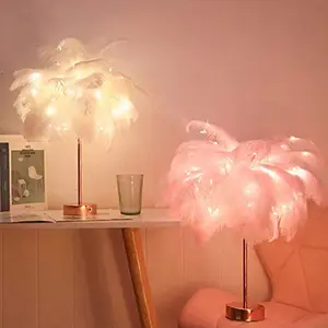 Luz Nocturna nórdica romántica y creativa, lámpara de mesa con plumas eléctricas, con Control remoto, más barato, batería Usb/Aa