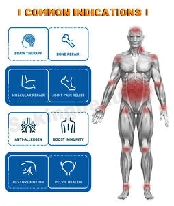 Gute Qualität Magnetfeld therapie Neuro logisches Nachwachsen PEST Loop Mat Physiotherapie-Maschinen - Product Image 4