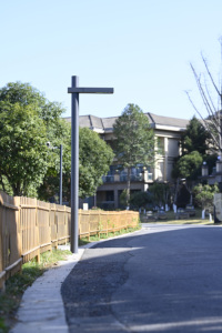 Lampe de jardin à LED sur poteau haut de 6 m, 7 m, 8 m, étanche IP66, corps en aluminium IK09, alimentation CA, 30 W-180 W, <span class=keywords><strong>paysage</strong></span>, certifiée CE - Product Image 2