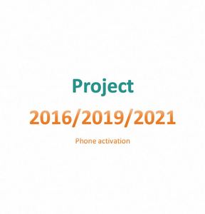 Activation de serveur d'entreprise Project Professional 2016/2019/2021 <span class=keywords><strong>Office</strong></span> 2021 Logiciel Expédition en ligne disponible - Product Image 4
