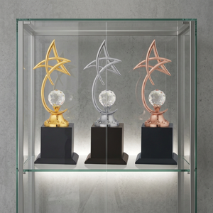 Trofeo Estrella Personalizado, Premios de Agradecimiento para Empresas, Trofeo Corporativo Premium, Fundición a Presión, Grabado Láser UV en Metal - Product Image 1