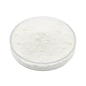 Sachtleben硫化亜鉛粉末99.5% 純度ZnS粉末