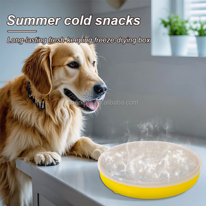 Sparkpro 2025 <span class=keywords><strong>Tulipe</strong></span> 3 en 1 Mangeoire pour animaux de compagnie à alimentation lente Bol pour chien en silicone de couleur unie de qualité alimentaire avec couvercle - Product Image 5