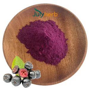 Julyherb vendita calda wild cherry berry powder wild cherry berry juice powder