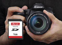 Tarjeta SD Carte SD 128 GB OEM de Buen Rendimiento, Tarjeta de 4 GB, 16 GB, 128 GB, Módulo de Tarjeta de Memoria para PS