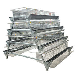 Nouvel équipement d'élevage avicole, <span class=keywords><strong>cage</strong></span> à poules pondeuses automatique à batterie de type A à 4 niveaux, galvanisée à chaud - Product Image 2