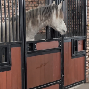 <span class=keywords><strong>Planche</strong></span> extérieure en bambou <span class=keywords><strong>de</strong></span> 10 pieds Équipement pour chevaux Boîte à portes d'écurie Panneaux avant Style australien Boîte d'écurie d'occasion portable à <span class=keywords><strong>vendre</strong></span> - Product Image 3