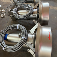 OEM personnalisable industriel 304 en acier inoxydable anaérobie anoxique réservoir électrique plongée eaux usées mélangeur submersible