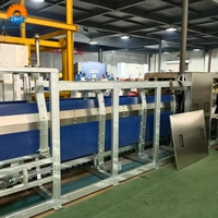 Machine d'étourdissement de porcs à trois points ZBHT, automatique, haute efficacité, facile à utiliser, en acier inoxydable pour ligne d'abattage